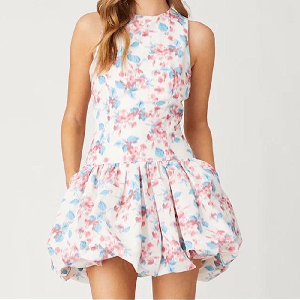 Anthropologie Floral Dress in Pink and Blue